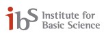 Institute for Basic Science